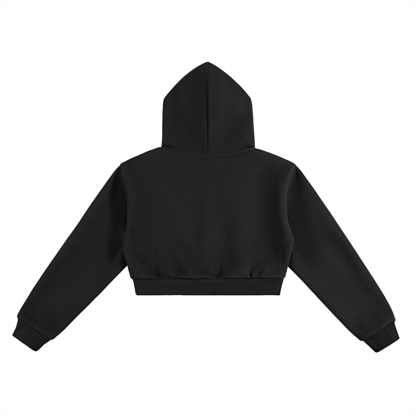 OG Cropped Hoodie